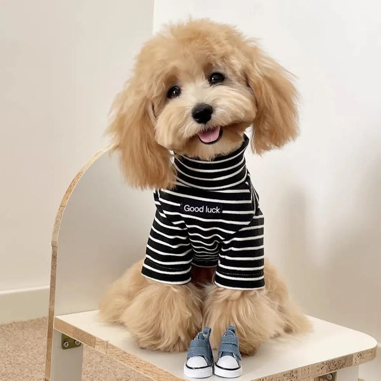 High-Neck Dog Sweater