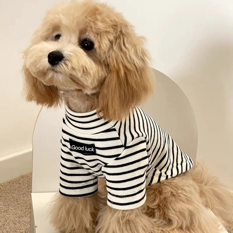 High-Neck Dog Sweater