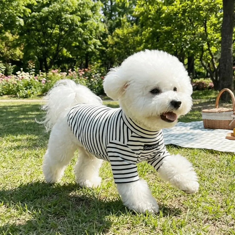 High-Neck Dog Sweater